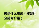 核是什么組成（核是什么簡介介紹）