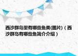 西沙群島里有哪些魚(yú)類(圖片)（西沙群島有哪些魚(yú)簡(jiǎn)介介紹）