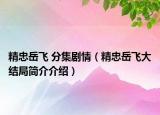 精忠岳飛 分集劇情（精忠岳飛大結(jié)局簡介介紹）