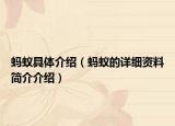 螞蟻具體介紹（螞蟻的詳細資料簡介介紹）