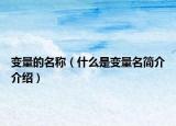 變量的名稱（什么是變量名簡介介紹）