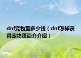 dnf寵物蛋多少錢（dnf怎樣獲得寵物蛋簡(jiǎn)介介紹）