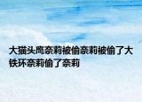大貓頭鷹奈莉被偷奈莉被偷了大鐵環(huán)奈莉偷了奈莉