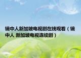 鏡中人新加坡電視劇在線觀看（鏡中人 新加坡電視連續(xù)?。? /></span></a>
                        <h2><a href=