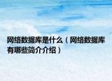 網(wǎng)絡(luò)數(shù)據(jù)庫(kù)是什么（網(wǎng)絡(luò)數(shù)據(jù)庫(kù)有哪些簡(jiǎn)介介紹）