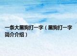 一條大黑狗打一字（黑狗打一字簡介介紹）