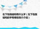 右下包圍結(jié)構(gòu)有什么字（左下包圍結(jié)構(gòu)的字有哪些簡(jiǎn)介介紹）