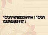 北大青鳥網(wǎng)絡(luò)營銷學(xué)院（北大青鳥網(wǎng)絡(luò)營銷學(xué)院）