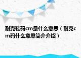 耐克鞋碼cm是什么意思（耐克cm碼什么意思簡(jiǎn)介介紹）