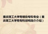重慶理工大學(xué)有哪些?？茖I(yè)（重慶理工大學(xué)有?？撇繂岷喗榻榻B）