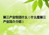 第三產(chǎn)業(yè)包括什么（什么是第三產(chǎn)業(yè)簡介介紹）