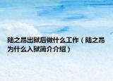 陸之昂出獄后做什么工作（陸之昂為什么入獄簡介介紹）