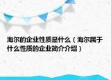 海爾的企業(yè)性質是什么（海爾屬于什么性質的企業(yè)簡介介紹）