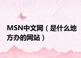 MSN中文網(wǎng)（是什么地方辦的網(wǎng)站）