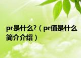 pr是什么?（pr值是什么簡介介紹）