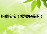 松獅寶寶（松獅好養(yǎng)不）