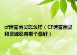 cf迷霧幽靈怎么樣（CF迷霧幽靈和靈魂忍著哪個最好）