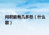 問君能有幾多愁（什么歌）