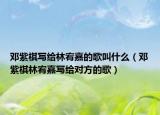 鄧紫棋寫給林宥嘉的歌叫什么（鄧紫棋林宥嘉寫給對方的歌）