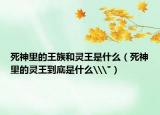 死神里的王族和靈王是什么（死神里的靈王到底是什么\