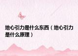 地心引力是什么東西（地心引力是什么原理）
