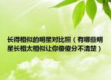 長得相似的明星對比照（有哪些明星長相太相似讓你傻傻分不清楚）