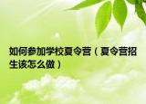 如何參加學校夏令營（夏令營招生該怎么做）