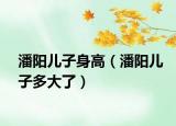 潘陽(yáng)兒子身高（潘陽(yáng)兒子多大了）