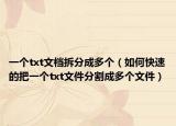 一個txt文檔拆分成多個（如何快速的把一個txt文件分割成多個文件）