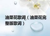 油菜花歌詞（油菜花完整版歌詞）