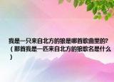 我是一只來自北方的狼是哪首歌曲里的?（那首我是一匹來自北方的狼歌名是什么）