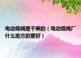 電動(dòng)蝶閥是干嘛的（電動(dòng)蝶閥廠什么地方的更好）