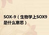 SOX-9（生物學(xué)上SOX9是什么意思）