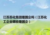 江蘇蘇化集團是國企嗎（江蘇化工企業(yè)哪些是國企）