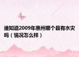誰知道2009年惠州哪個(gè)縣有水災(zāi)嗎（情況怎么樣）