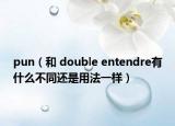 pun（和 double entendre有什么不同還是用法一樣）