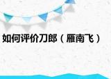 如何評(píng)價(jià)刀郎（雁南飛）