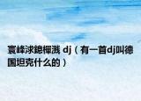 寰峰浗鎴樿濺 dj（有一首dj叫德國(guó)坦克什么的）