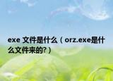 exe 文件是什么（orz.exe是什么文件來的?）