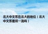 北大中文系在北大的地位（北大中文系是雙一流嗎）