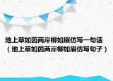 地上草如茵兩岸柳如眉仿寫一句話（地上草如茵兩岸柳如眉仿寫句子）