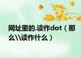 網址里的.讀作dot（那么\讀作什么）
