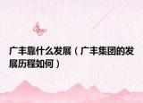 廣豐靠什么發(fā)展（廣豐集團的發(fā)展歷程如何）