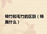 楠竹和毛竹的區(qū)別（楠屬什么）