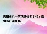 宿州市八一醫(yī)院腸鏡多少錢（宿州市八中在那）