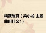 精武陳真（梁小龍 主題曲叫什么?）