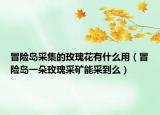 冒險島采集的玫瑰花有什么用（冒險島一朵玫瑰采礦能采到么）