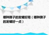 哪種牌子的發(fā)蠟好用（哪種牌子的發(fā)蠟好一點(diǎn)）