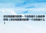 進(jìn)動(dòng)物園看到的第一個(gè)動(dòng)物是什么腦筋急轉(zhuǎn)彎（進(jìn)動(dòng)物園看到的第一個(gè)動(dòng)物是什么）