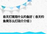 春天打窩用什么釣魚好（春天釣魚窩怎么打簡介介紹）
